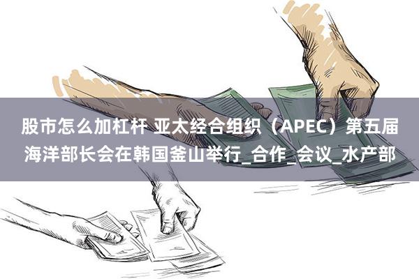 股市怎么加杠杆 亚太经合组织（APEC）第五届海洋部长会在韩国釜山举行_合作_会议_水产部