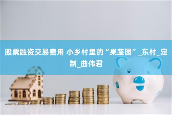 股票融资交易费用 小乡村里的“果蔬园”_东村_定制_曲伟君