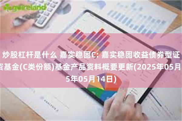 炒股杠杆是什么 嘉实稳固C: 嘉实稳固收益债券型证券投资基金(C类份额)基金产品资料概要更新(2025年05月14日)