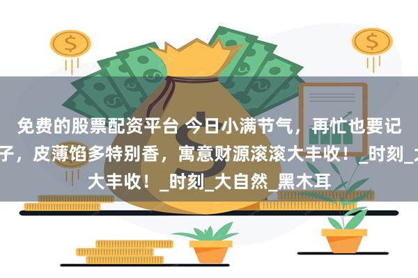 免费的股票配资平台 今日小满节气，再忙也要记得吃四季豆饺子，皮薄馅多特别香，寓意财源滚滚大丰收！_时刻_大自然_黑木耳