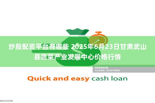 炒股配资平台有哪些 2025年6月23日甘肃武山县蔬菜产业发展中心价格行情