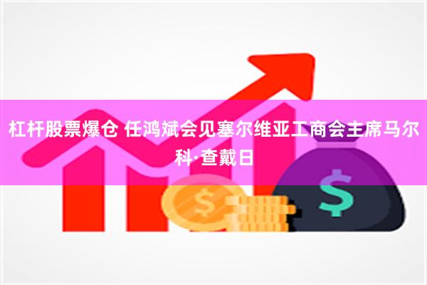 杠杆股票爆仓 任鸿斌会见塞尔维亚工商会主席马尔科·查戴日