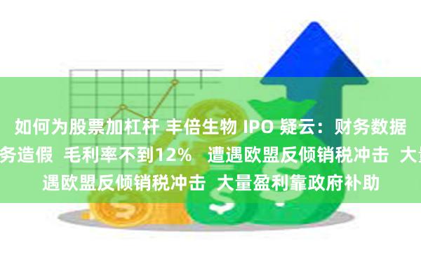 如何为股票加杠杆 丰倍生物 IPO 疑云：财务数据“打架”，涉嫌财务造假  毛利率不到12%   遭遇欧盟反倾销税冲击  大量盈利靠政府补助