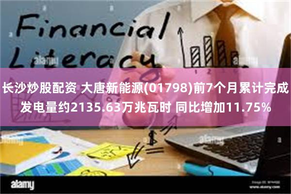 长沙炒股配资 大唐新能源(01798)前7个月累计完成发电量约2135.63万兆瓦时 同比增加11.75%